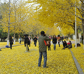 1530498093215890.png 5b19fcba91db6.png